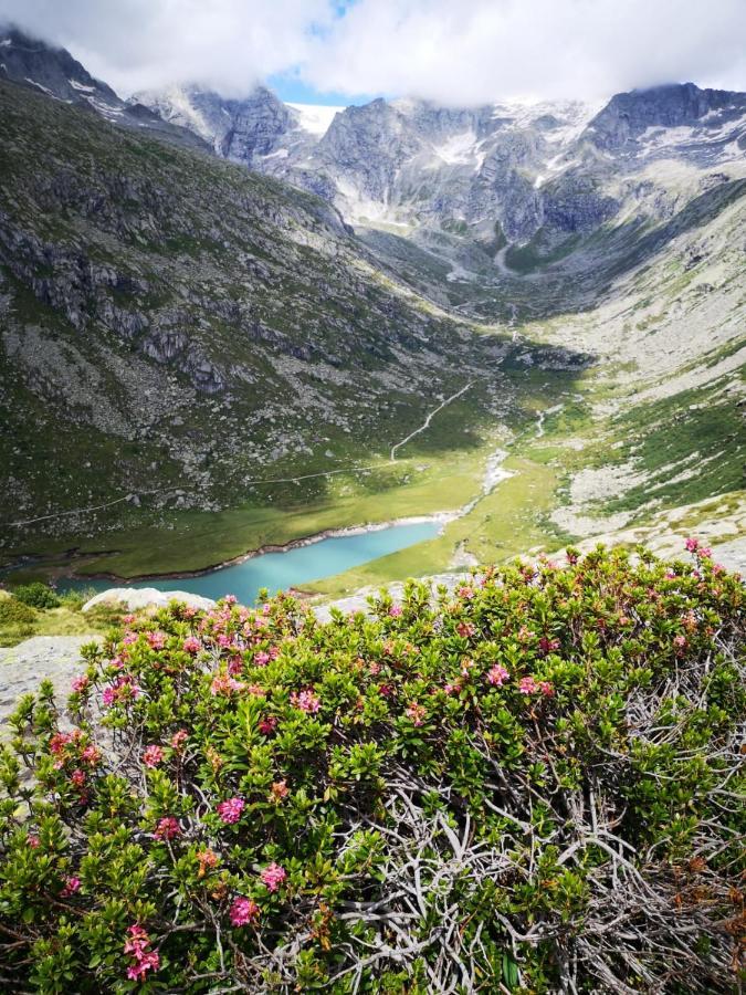 Rifugio Stella Alpina Otel Saviore dell'Adamello Dış mekan fotoğraf