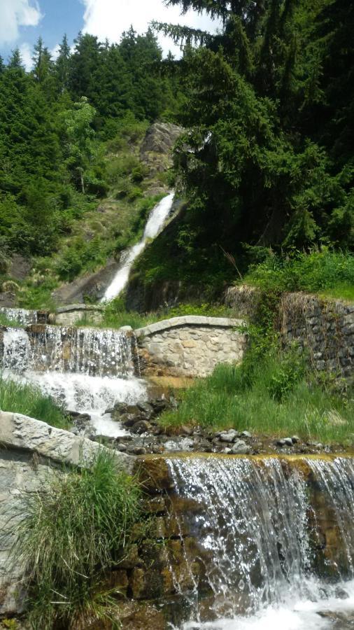 Rifugio Stella Alpina Otel Saviore dell'Adamello Dış mekan fotoğraf