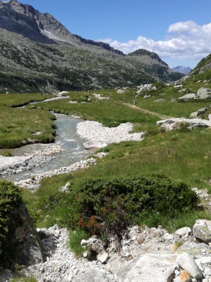 Rifugio Stella Alpina Otel Saviore dell'Adamello Dış mekan fotoğraf