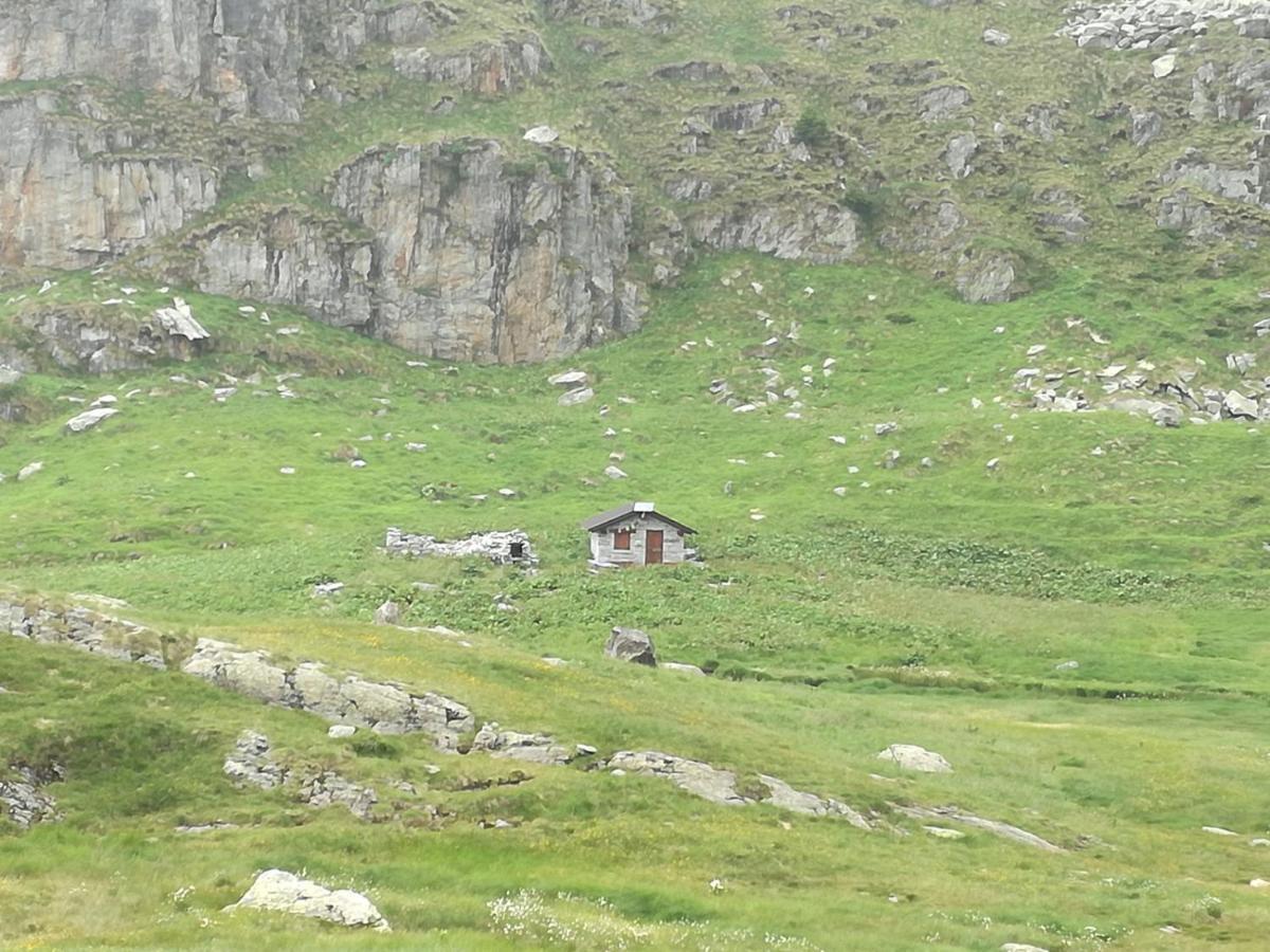 Rifugio Stella Alpina Otel Saviore dell'Adamello Dış mekan fotoğraf